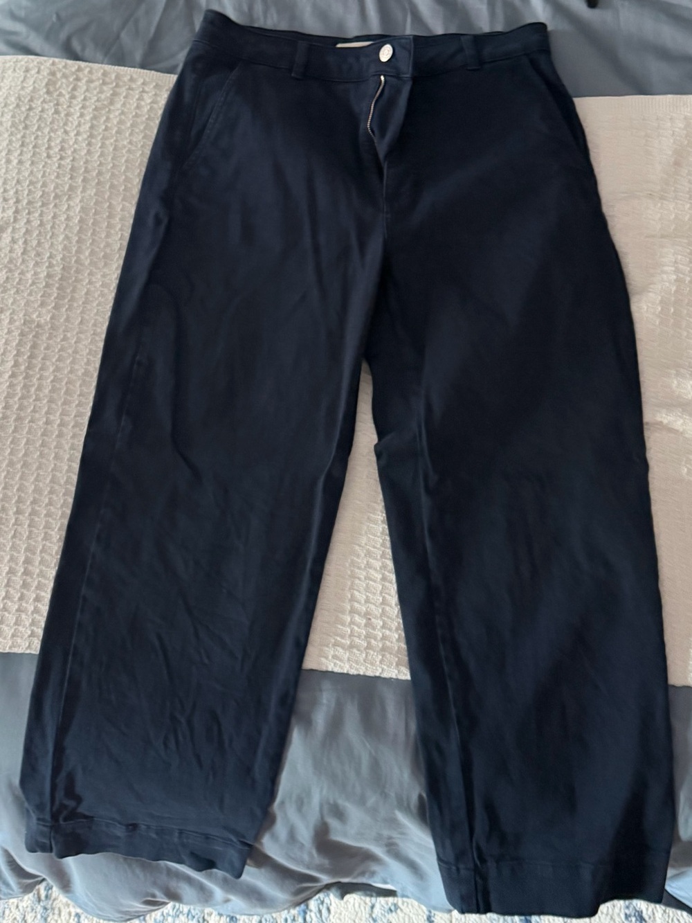 Everlane Navy Straight-Leg Chinos